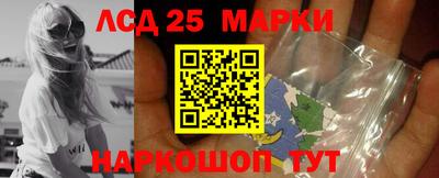 PSILOCYBIN Нальчик