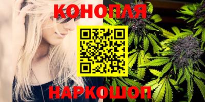 амф Новодвинск