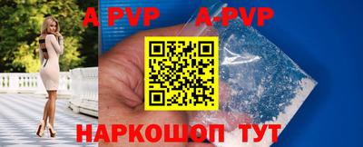 ECSTASY Новозыбков