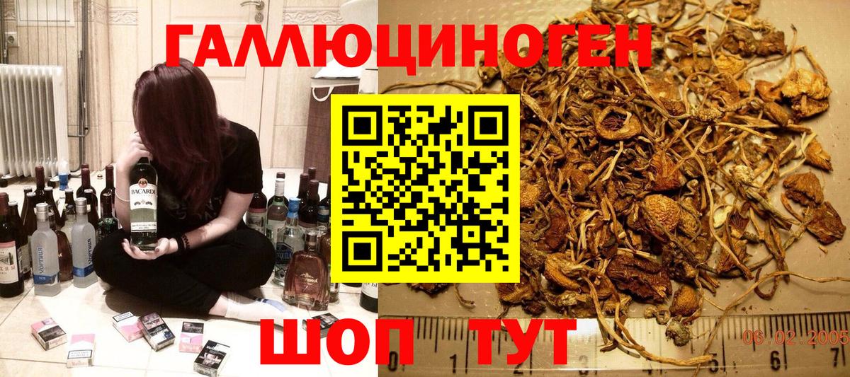 Галлюциногенные грибы прущие грибы Старая Купавна