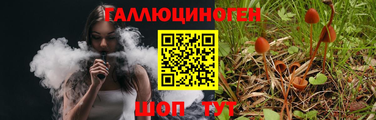 Старая Купавна  Псилоцибиновые грибы Magic Shrooms  Вход с VPN 
